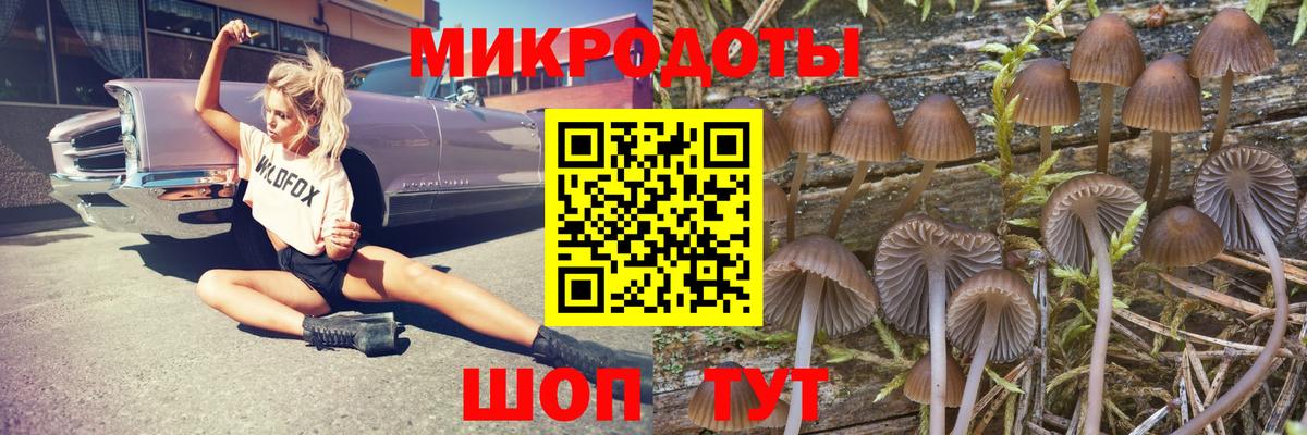 Обнинск  Галлюциногенные грибы мухоморы  Вход с VPN  Галлюциногенные грибы прущие грибы 